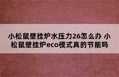 小松鼠壁挂炉水压力26怎么办 小松鼠壁挂炉eco模式真的节能吗